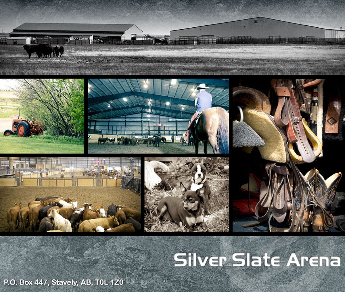 Silver Slave Arena