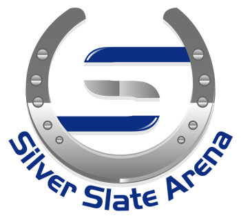Silver Slate Arena
